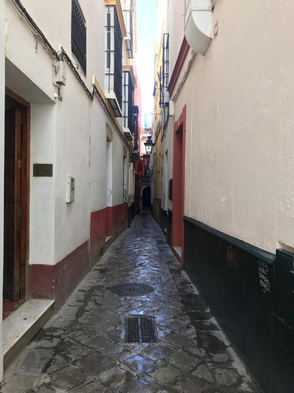 Apartamentos Flamenco B&B Sewilla Zewnętrze zdjęcie