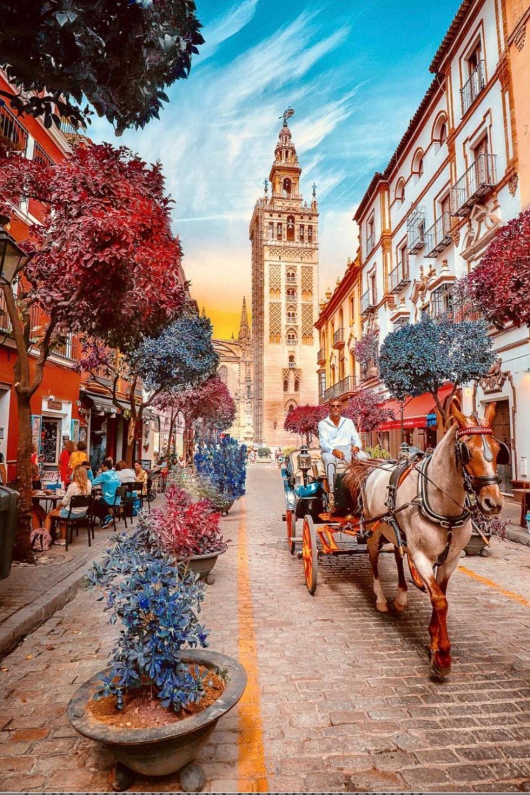 Apartamentos Flamenco B&B Sewilla Zewnętrze zdjęcie
